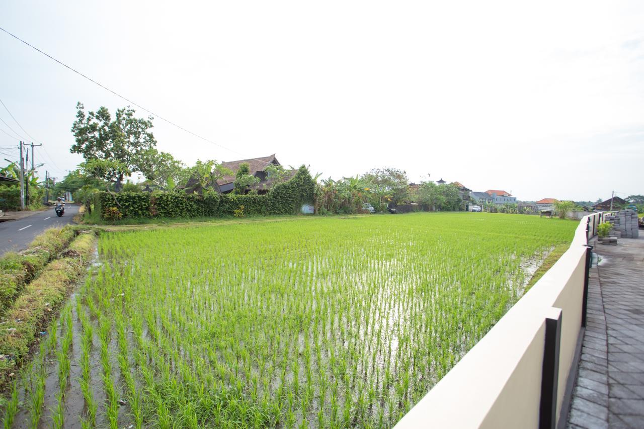 V Canggu Dormitory Екстер'єр фото